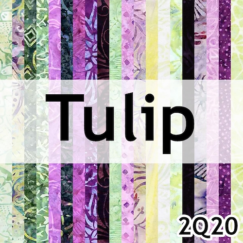 Tonga Tulip